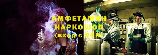 шишки Абинск