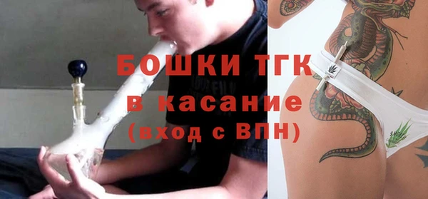 шишки Абинск