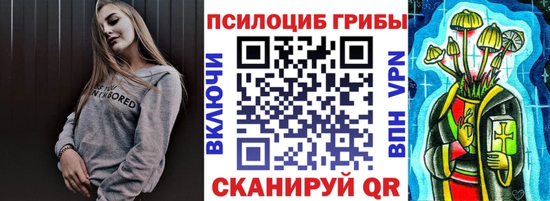 что такое   Чекалин  Псилоцибиновые грибы прущие грибы 