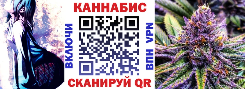 Канабис сатива mega онион Чекалин где купить наркотик